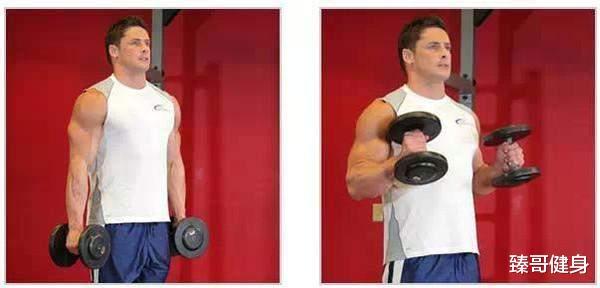 健身:大神都這樣練手臂,八大黃金動作(下) 健身:大神都這樣練手臂,八大黃金動作(下)