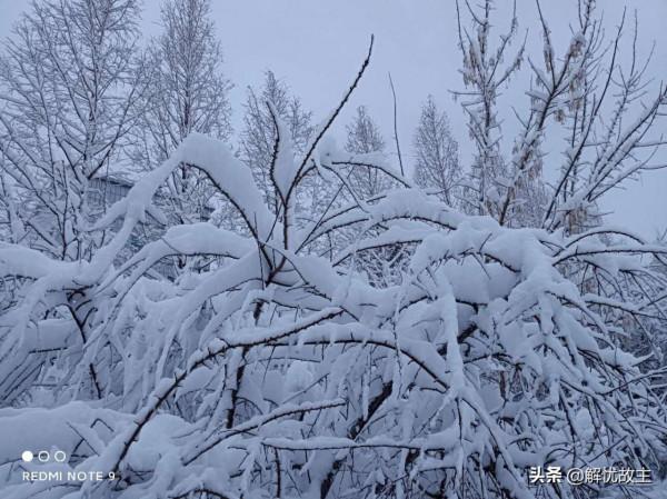 乘坐火車去旅行，時間慢下來，這3趟火車沿途皆是美景，建議收藏