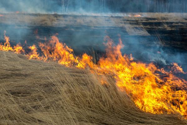 當災害來臨時,我們也應該準備哪些東西? 當災害來臨時,我們也應該準備哪些東西?