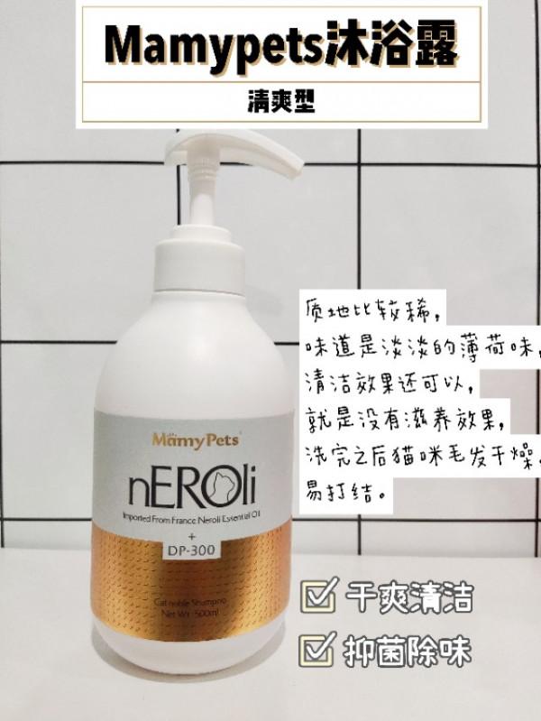 從哪幾個方面做起可以讓自家貓咪變精緻? 從哪幾個方面做起可以讓自家貓咪變精緻?