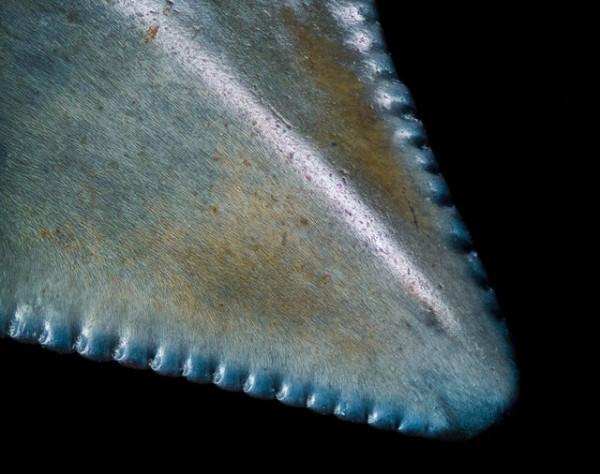 一組活久未見的照片，丹麥牢房傢俱設施一應俱全，像是活在天堂中