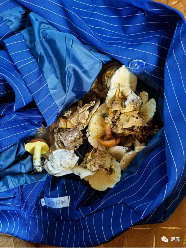 紅傘傘白杆杆，吃完一起躺闆闆：戰鬥民族也愛吃毒蘑菇？