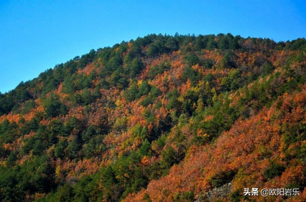 適合冬天出發的12條自駕路線，人少景美，來一場自駕之旅吧