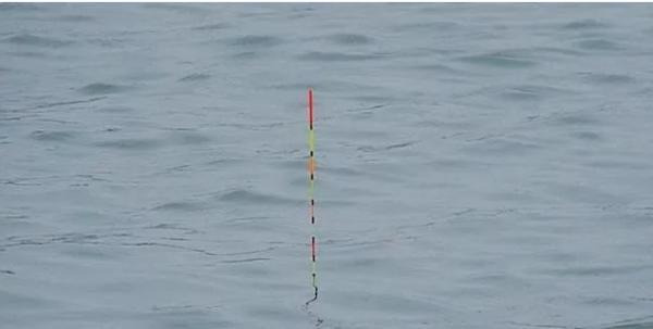 深秋釣鯉,靈活使用這兩個調漂思路 深秋釣鯉,靈活使用這兩個調漂思路