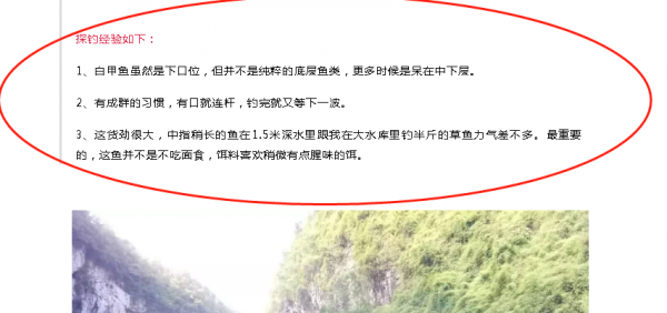 服了佳釣尼&comma;在作死的邊緣試探&comma;官方號還教授怎麼釣&OpenCurlyDoubleQuote;多鱗白甲魚&rdquo;