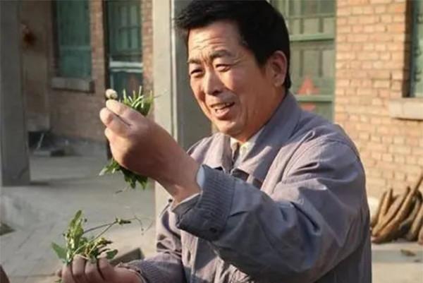 退役軍人100元過一年，水煮土豆當三餐：幫助67名專家領導的成長