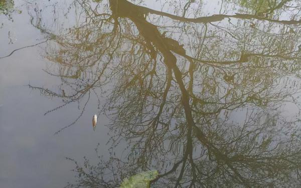 冰剛化開好釣魚嗎？