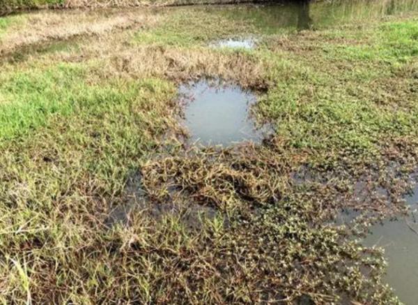 釣魚大爺初冬釣魚多的秘密,小水面裡有大驚喜 釣魚大爺初冬釣魚多的秘密,小水面裡有大驚喜