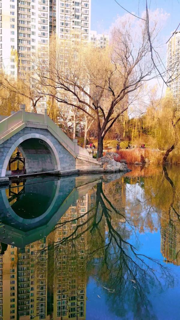 北京紫竹院公園初冬的水中倒影彷彿水墨畫