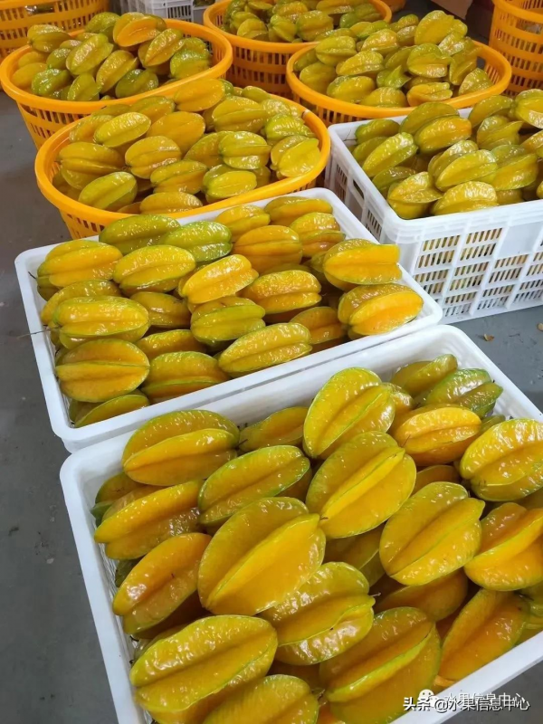 網友評選出“最難吃的水果”，你吃過幾種？