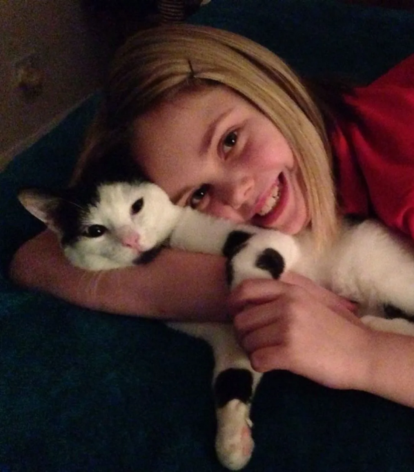 從營養不良的病貓,到長成“肥牛”,中間只差一位愛它的鏟屎官 從營養不良的病貓,到長成“肥牛”,中間只差一位愛它的鏟屎官