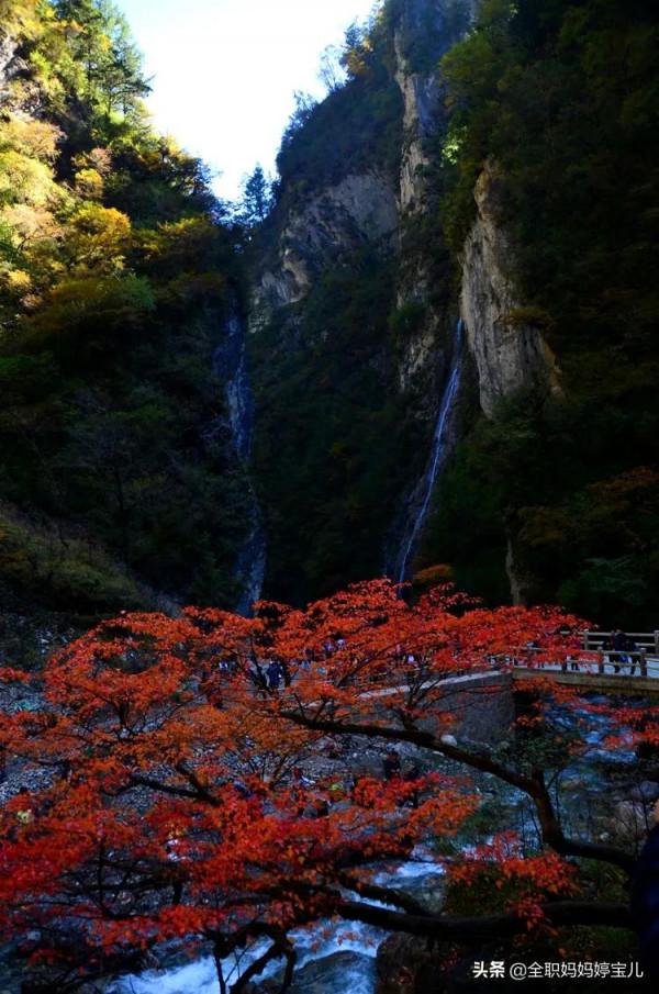 分享——令人迷幻的九寨溝