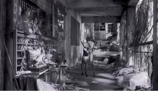 一部黑白電影，充滿腐爛肉香