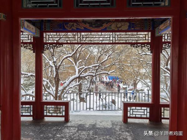 難覽觀園全畫景 雪覆臘梅一隅香&mdash;&mdash;踏雪尋遊北京大觀園