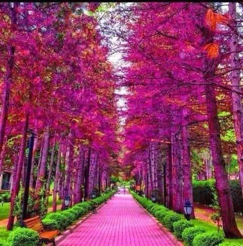 世界很大，風景很美，而你卻不是那個想走就走的人