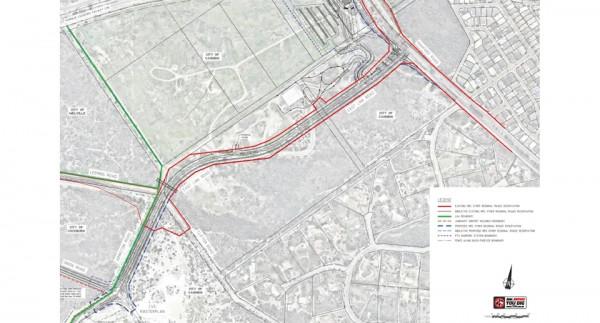 真要殺死300只袋鼠？澳洲政府：安置它們太費錢
