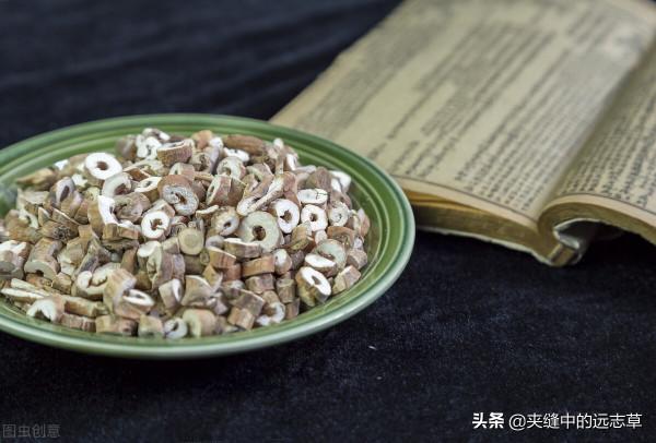 反覆上火、口氣重？送你五味中藥，清熱瀉火，攻補兼施