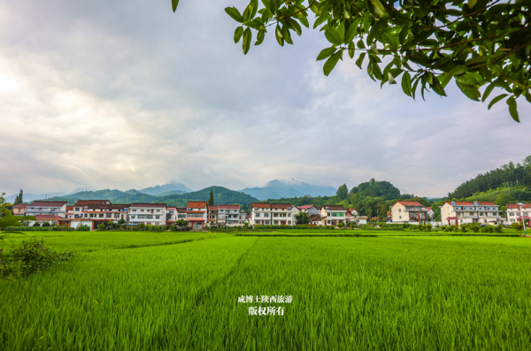 2021在疫情的陰霾下，我拍了陝西50個區縣！4萬多張圖片