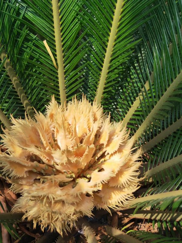 飲食文化知識 飲食文化知識