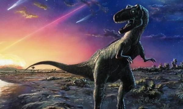 關於進化論和神創論，還是覺得進化論更加靠譜點