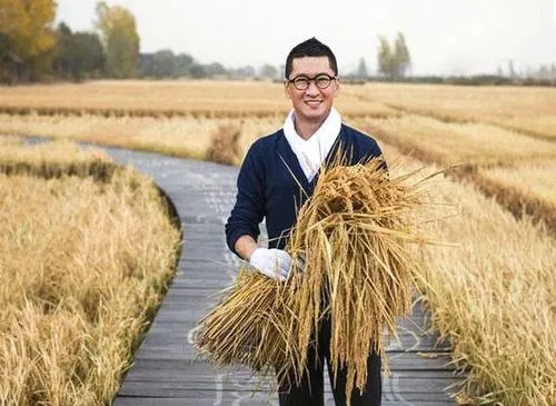 “明星+鄉村”的組合出圈，走下沉路線的藝人迎來新機遇