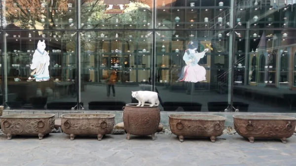 小嶽嶽：你知道我為了紅有多努力嗎？