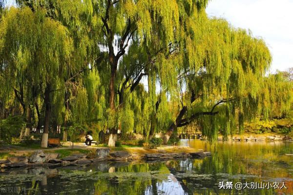 6口大鍋做魚，學生免費吃10天！釣友：不羨慕，就想釣魚