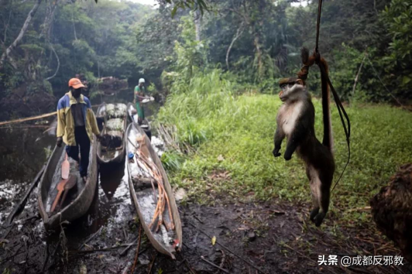 中國小夥逛非洲菜市場的真實感受:食物種類齊全、料理無奇不有 中國小夥逛非洲菜市場的真實感受:食物種類齊全、料理無奇不有