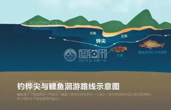 影響釣魚的10大因素