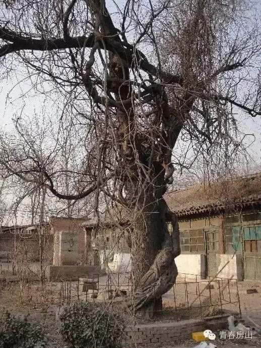 房山一寺廟竟由皇帝下旨建造!相傳是太子出家之地,還有一“絕景”→ 房山一寺廟竟由皇帝下旨建造!相傳是太子出家之地,還有一“絕景”→