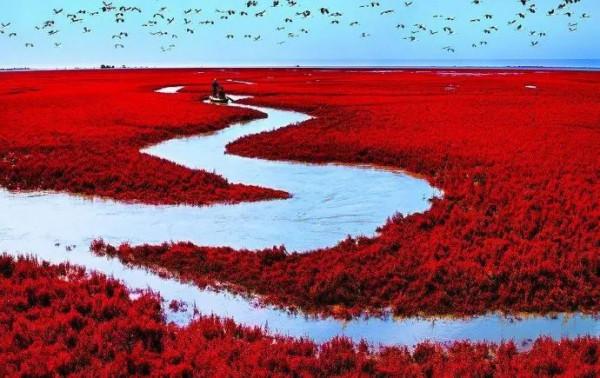 美！外國人眼裡最羨慕的中國美景，你都去過嗎？