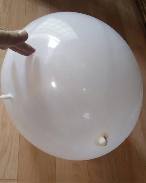 “​迪迦奧特曼被下架後.....哈哈哈給我整無語了!” “​迪迦奧特曼被下架後.....哈哈哈給我整無語了!”