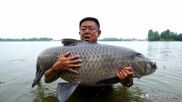 釣魚界四種溜魚大法，不管釣到多大的魚，它都難以逃脫