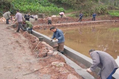 1995年，四川一山丘常年寒氣逼人，考古隊趕來查探