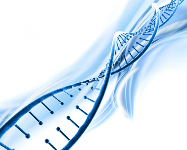 著名肉牛一天能長3斤肉,肌肉發達肉質細膩,為何我國不引入呢? 著名肉牛一天能長3斤肉,肌肉發達肉質細膩,為何我國不引入呢?