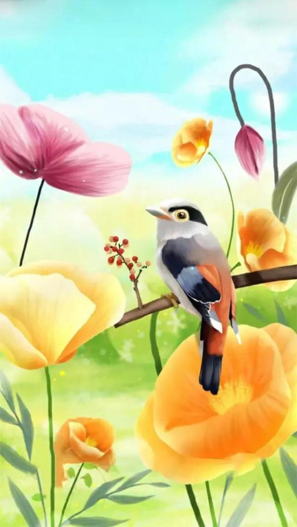 分享&mdash;&mdash;天生麗質的鳥兒