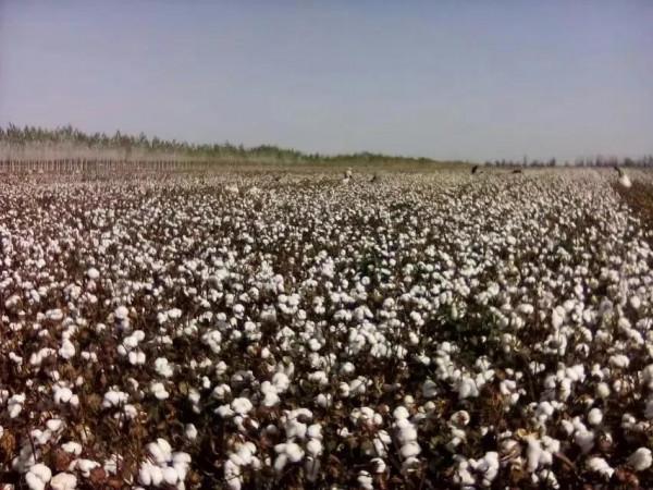 老朋友，10年未見了，你過得還好嗎