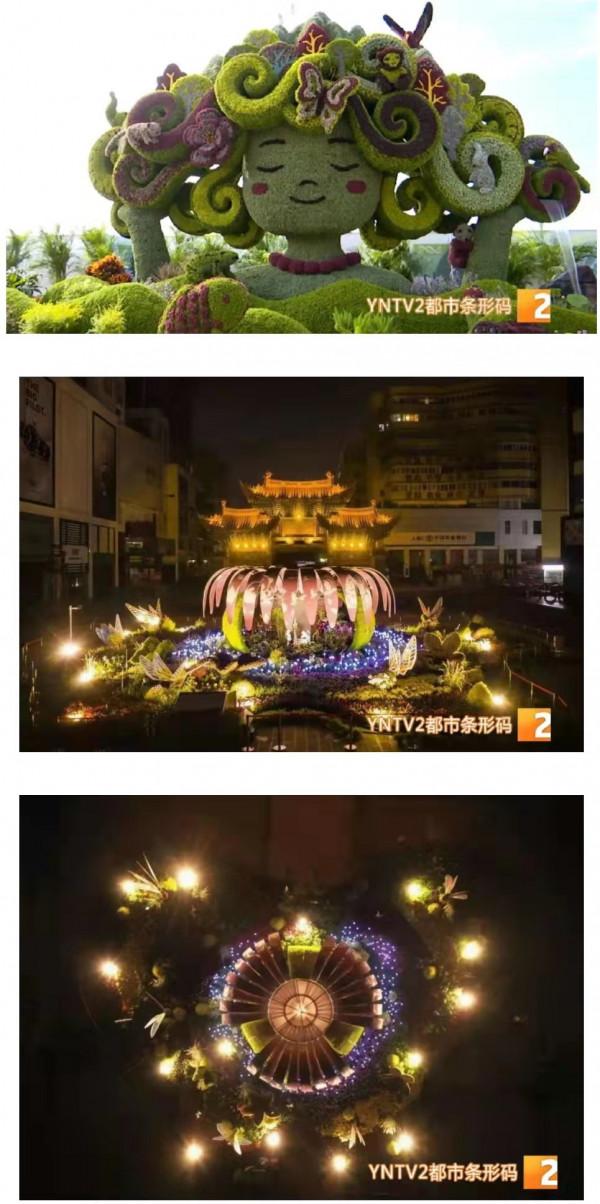 COP15：“騎大象”“溜孔雀”的雲南人