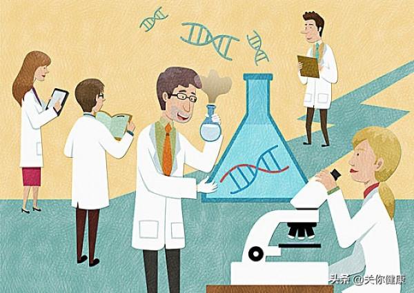 最新研究發現,肌肉會與肝臟溝通,影響晝夜節律及脂肪代謝 最新研究發現,肌肉會與肝臟溝通,影響晝夜節律及脂肪代謝