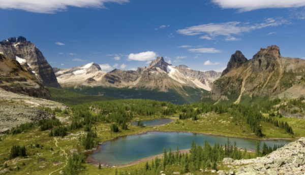 可以做到苦盡甜來的星座，他們腳踏實地，吃苦耐勞，足以大器晚成