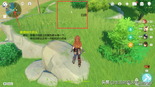 原神四方之網可捕捉小動物位置彙總一覽