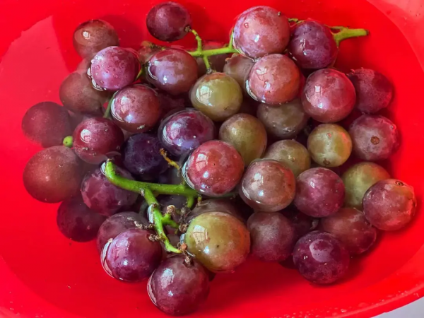 自然不會拋棄任何人