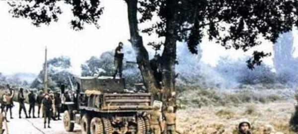 1976年，美國執意要砍掉一棵白楊樹，險些引發第二次朝鮮戰爭