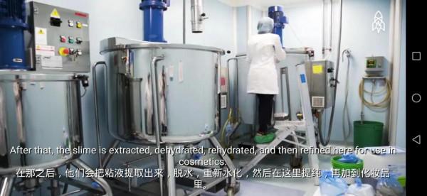 各種蝸牛護膚品是怎麼來的? 各種蝸牛護膚品是怎麼來的?