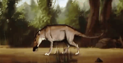 考古重大發現!埃及出土四足“死神鯨”,鯨魚演化有多傳奇? 考古重大發現!埃及出土四足“死神鯨”,鯨魚演化有多傳奇?