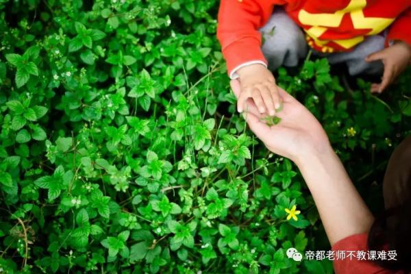 孩子學習鋼琴到底有什麼用？我家娃學了6年，今天給你答案