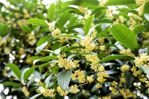 一年四季，這些“絕美”的瞬間你見到了嗎？