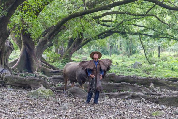 1歲小孩都知道跌倒了再爬起來，為什麼成年人不知道？