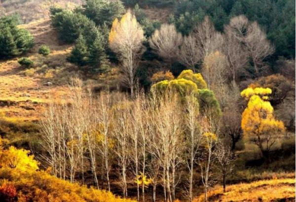 這個秋天,待疫情結束,牽手去旅行 這個秋天,待疫情結束,牽手去旅行