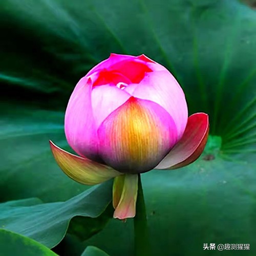 孤獨感最強的四大星座，看看有沒有你？